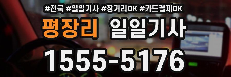 평장리 일일기사