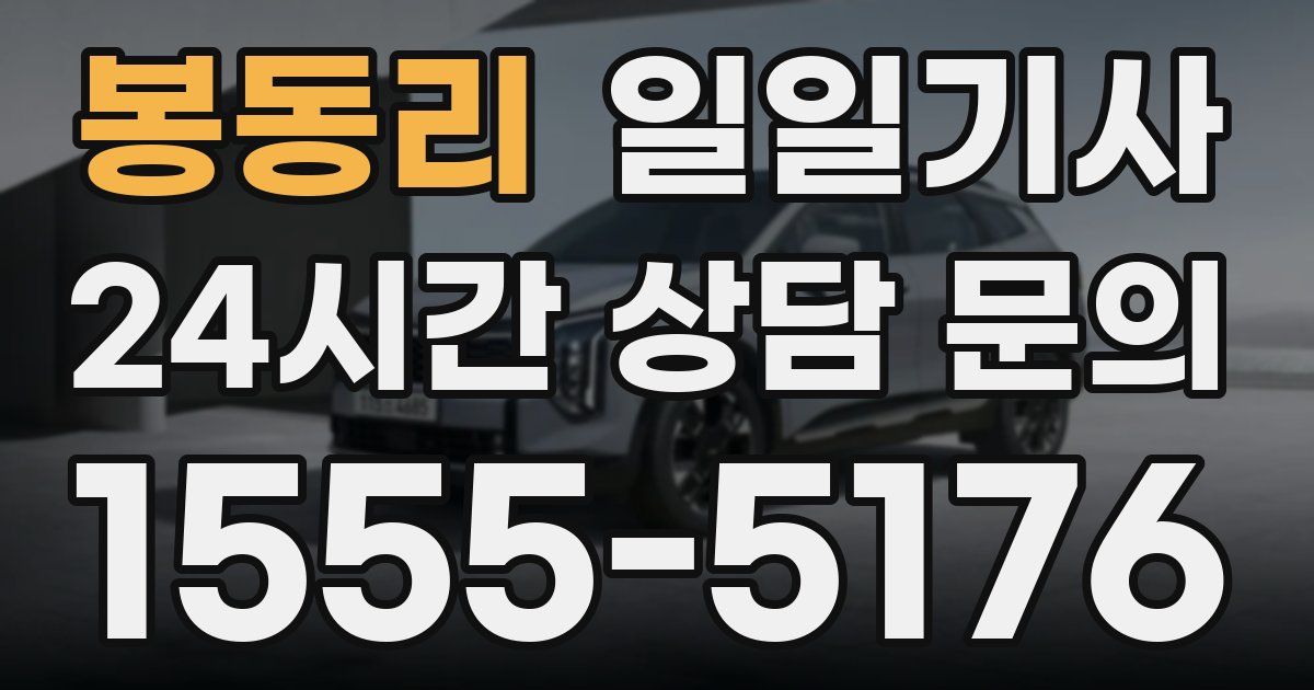 일일대리기사