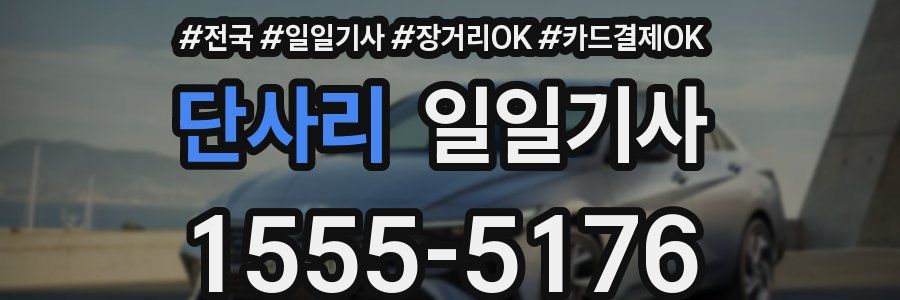 단사리 일일기사