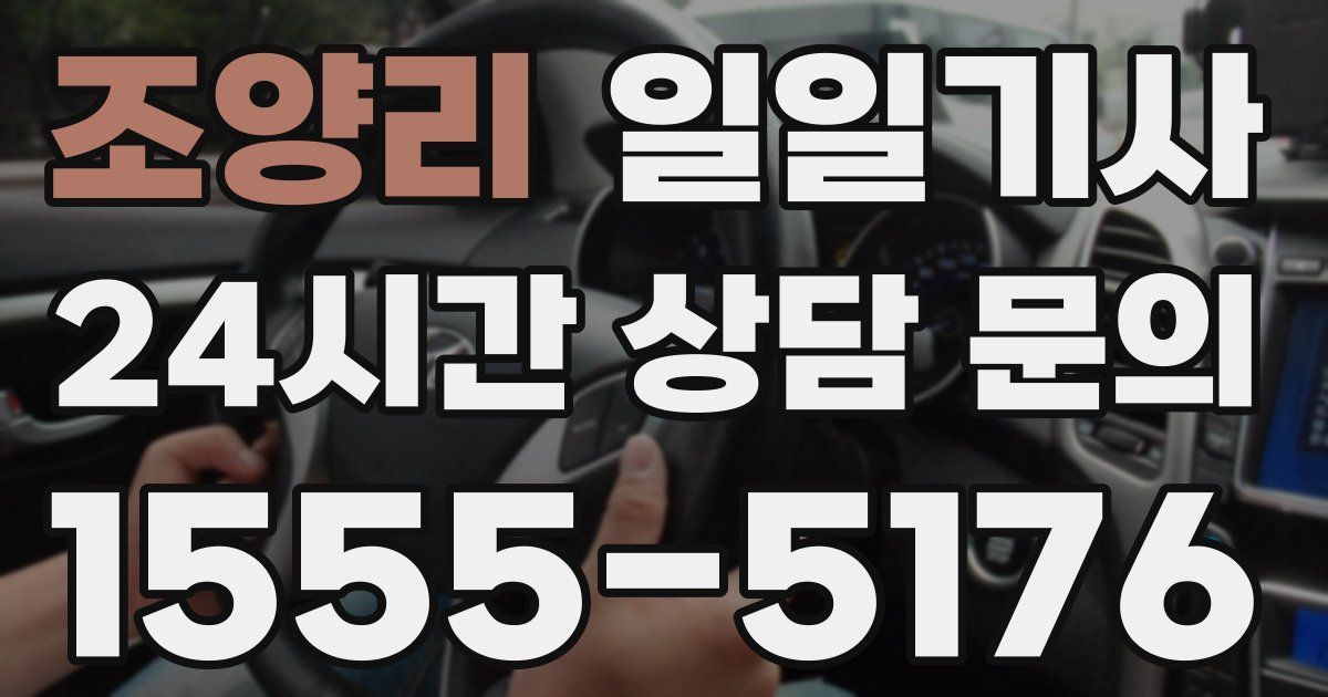 일일대리기사