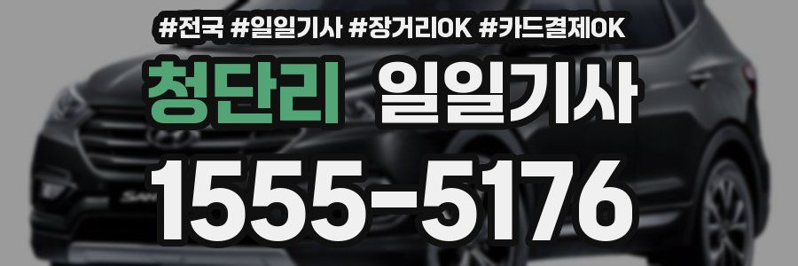 청단리 일일기사