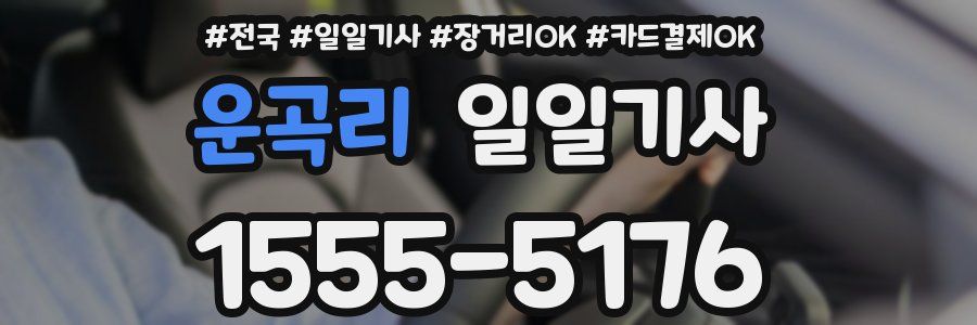 운곡리 일일기사