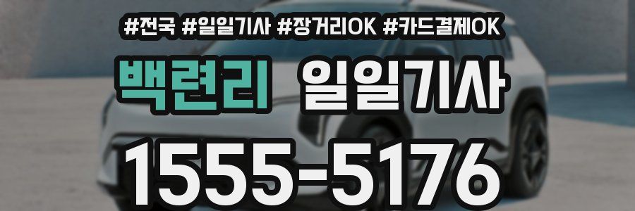 백련리 일일기사