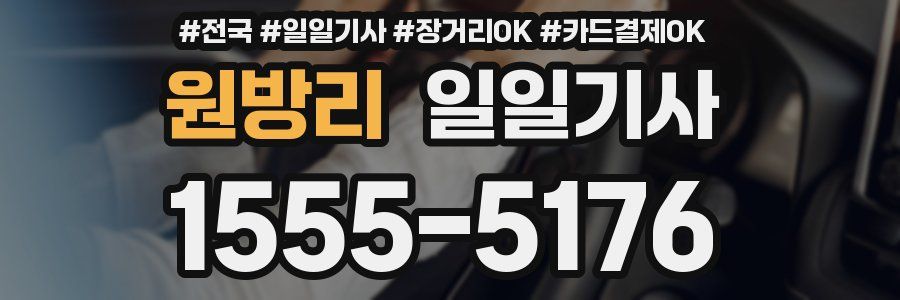 원방리 일일기사