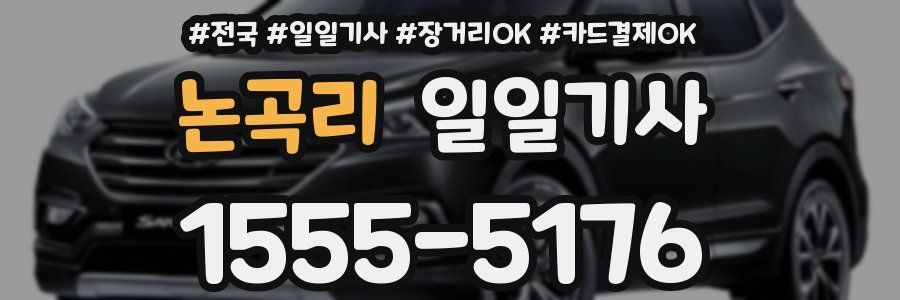 논곡리 일일기사