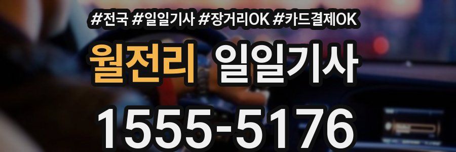 월전리 일일기사