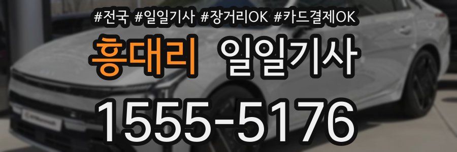 흥대리 일일기사