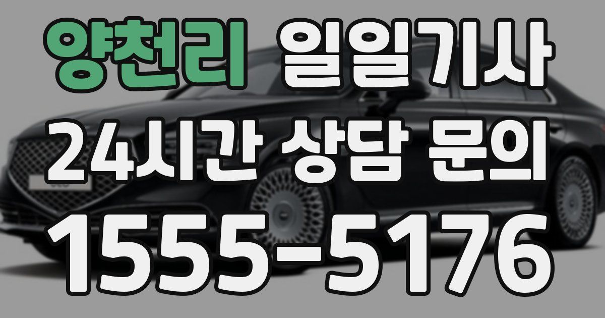 일일대리기사