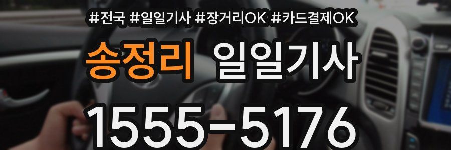 송정리 일일기사