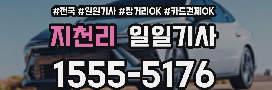 지천리 일일기사