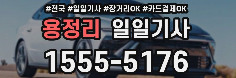 용정리 일일기사