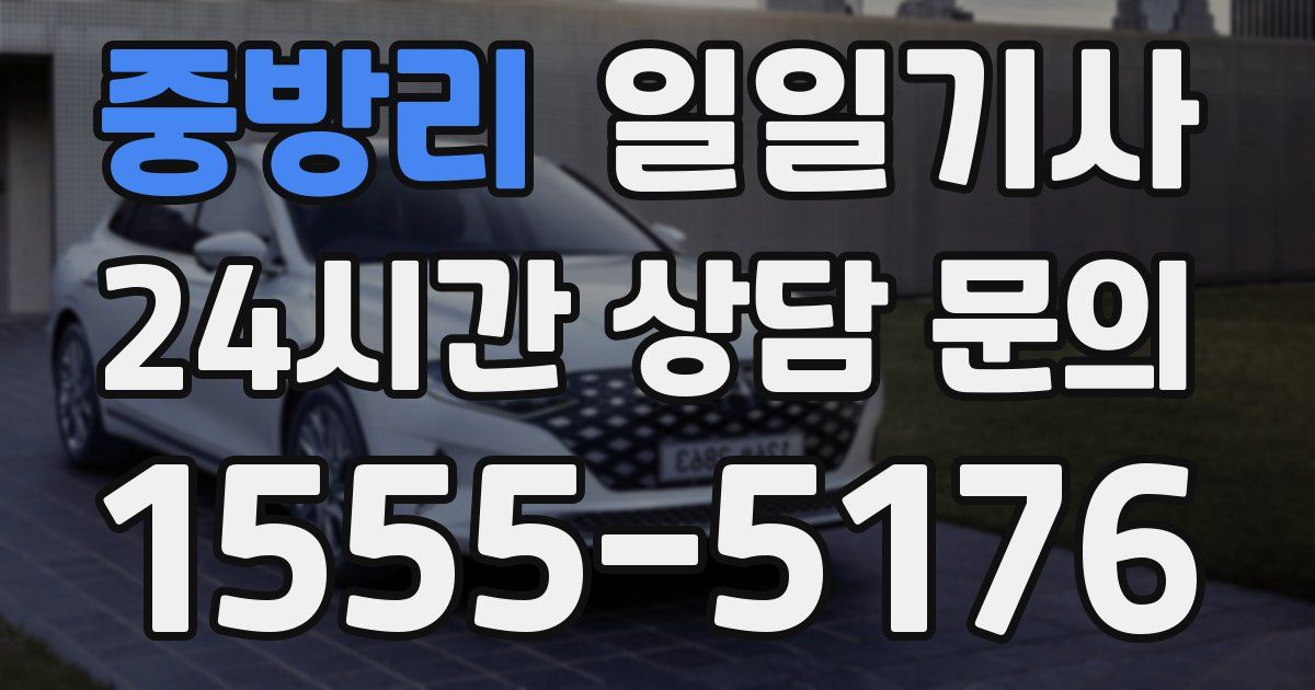 일일대리기사