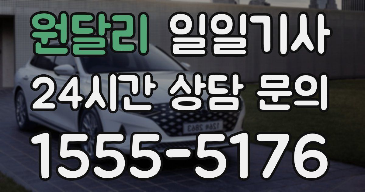 일일대리기사