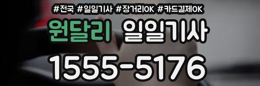 원달리 일일기사