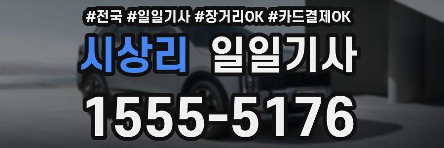 시상리 일일기사