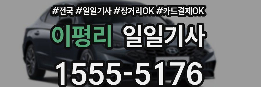 이평리 일일기사
