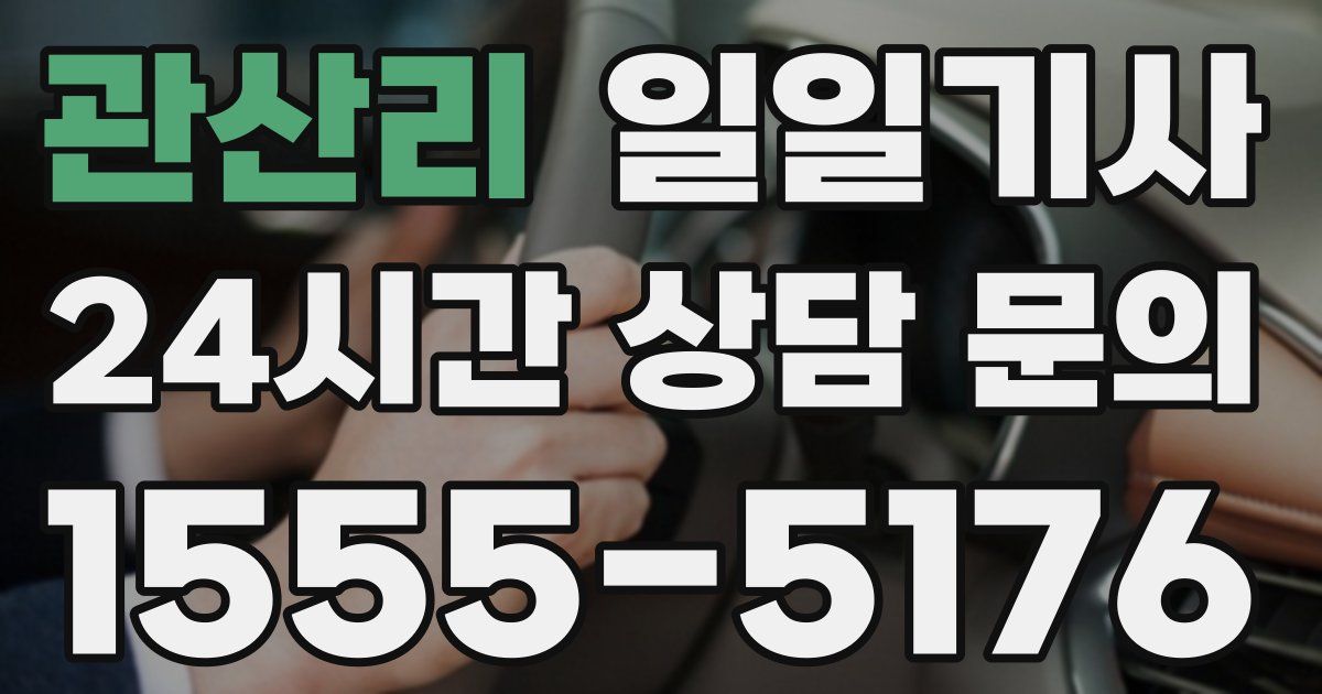 일일대리기사