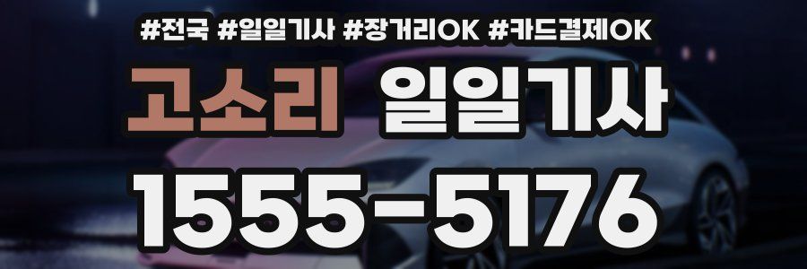 고소리 일일기사