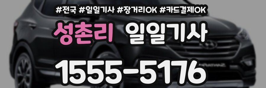 성촌리 일일기사