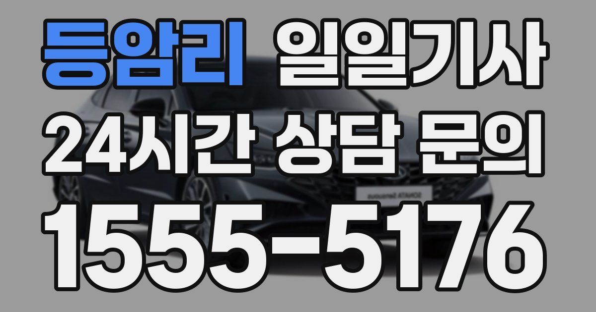 일일대리기사