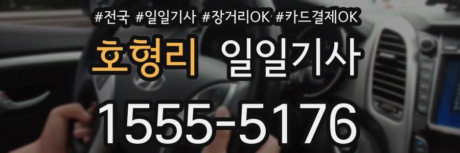 호형리 일일기사