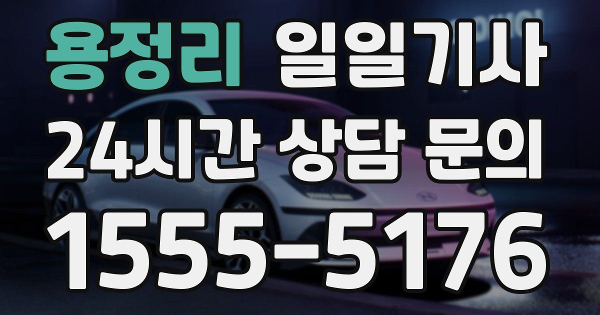 일일대리기사