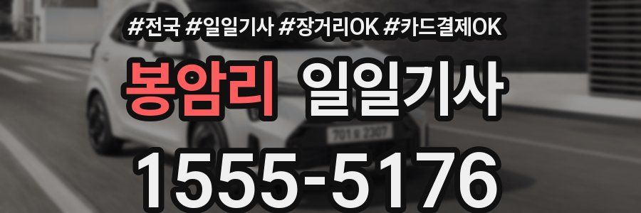 봉암리 일일기사