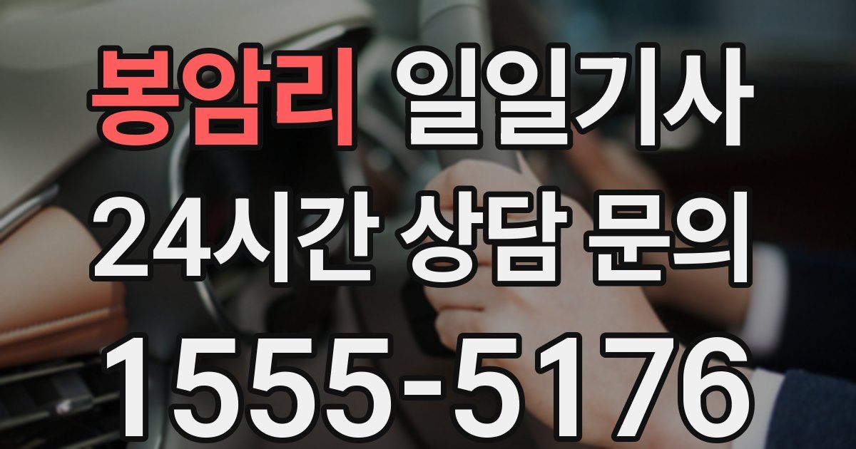 일일대리기사