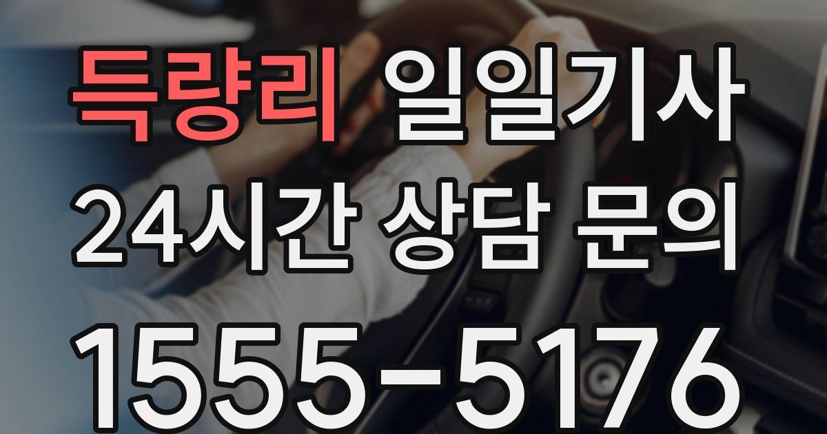 일일대리기사