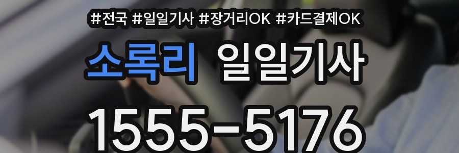 소록리 일일기사