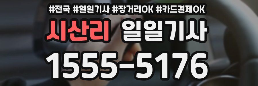 시산리 일일기사