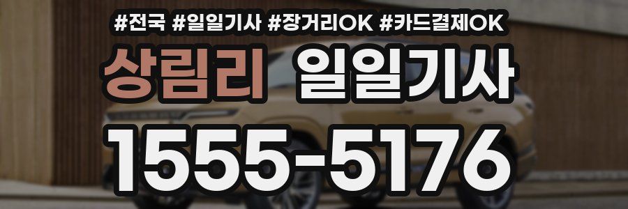 상림리 일일기사