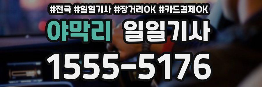 야막리 일일기사