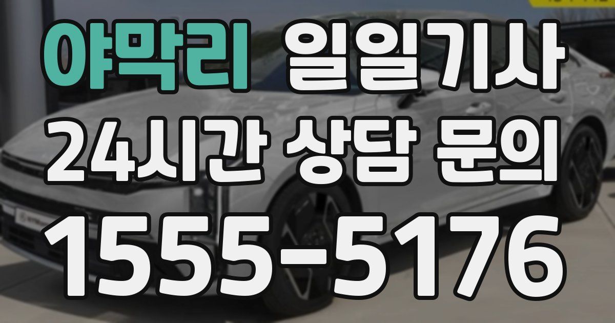 일일대리기사
