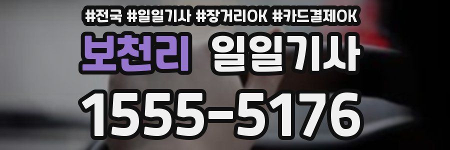 보천리 일일기사