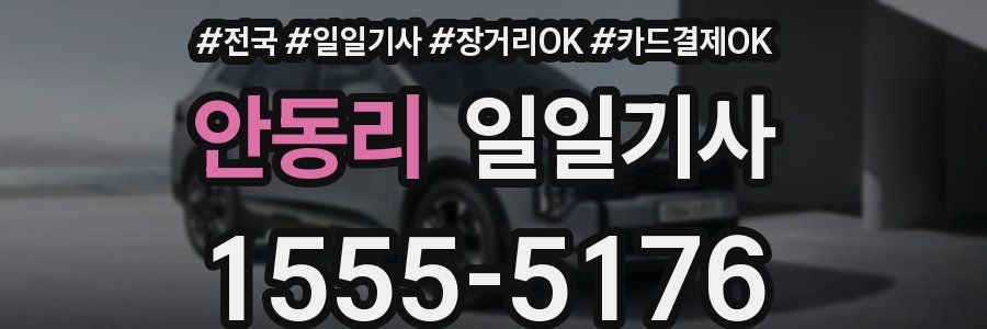 안동리 일일기사