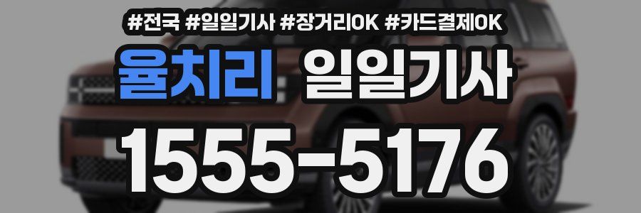 율치리 일일기사