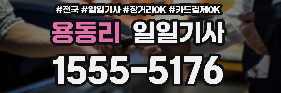 용동리 일일기사