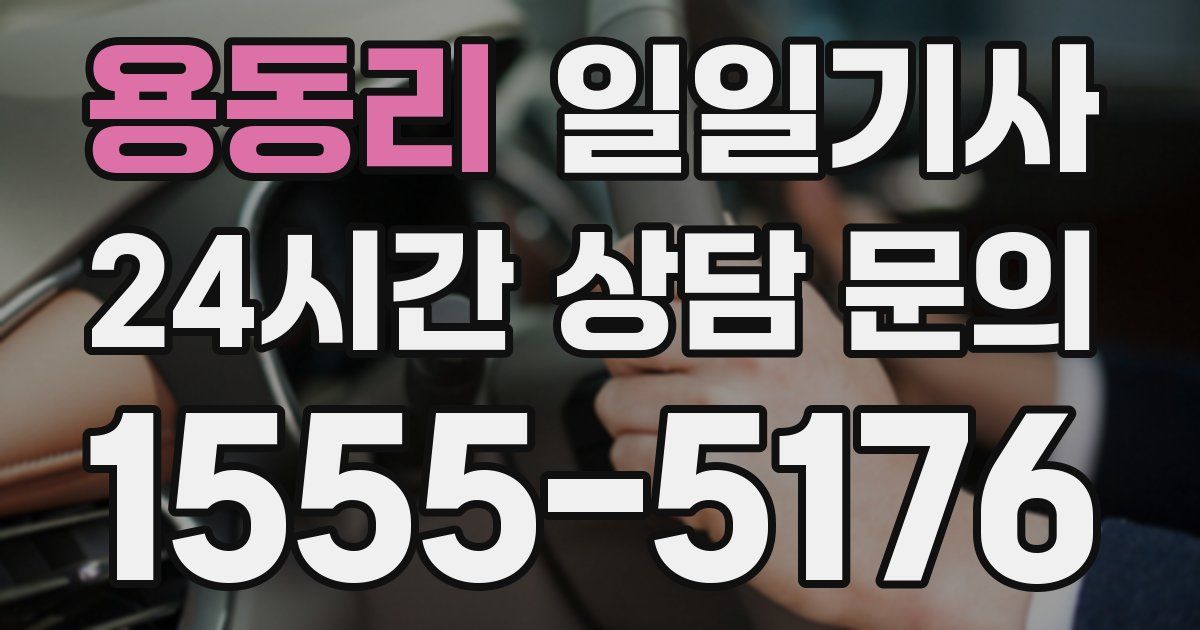 일일대리기사