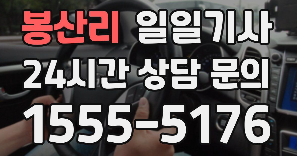 일일대리기사