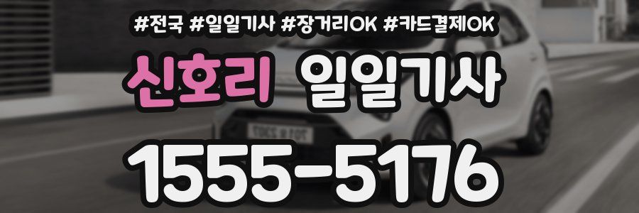 신호리 일일기사