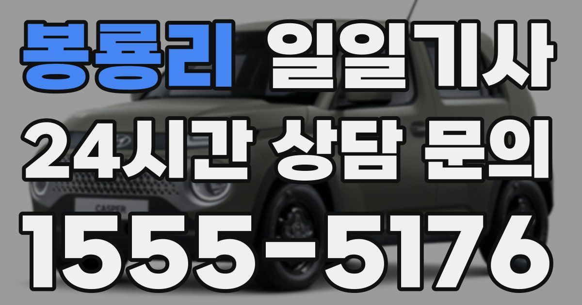 일일대리기사