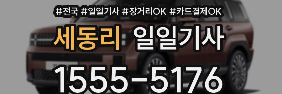 세동리 일일기사