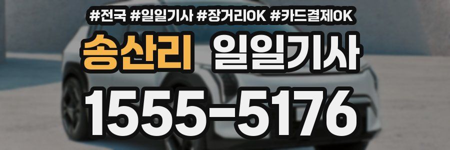 송산리 일일기사