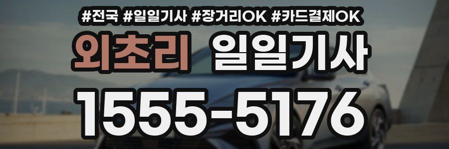 외초리 일일기사