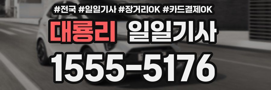 대룡리 일일기사