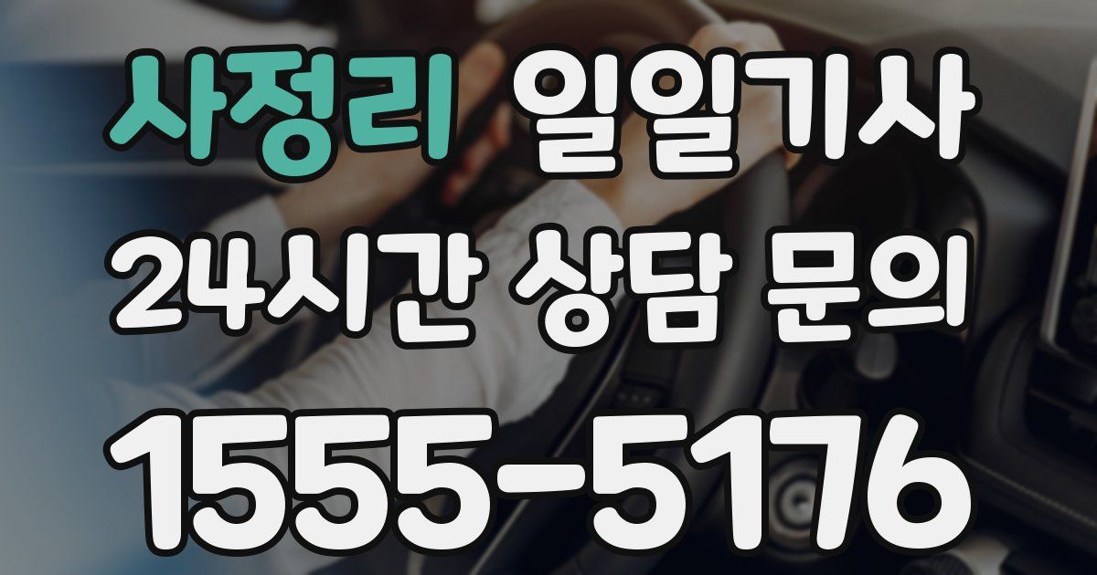 일일대리기사