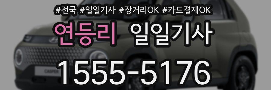 연등리 일일기사