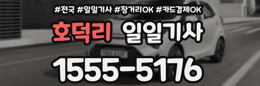 호덕리 일일기사