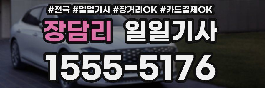 장담리 일일기사